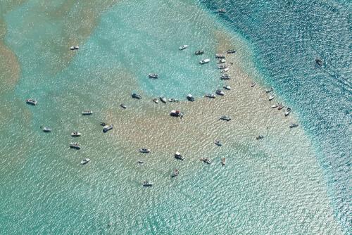 Torch Lake Sandbar Boats 005